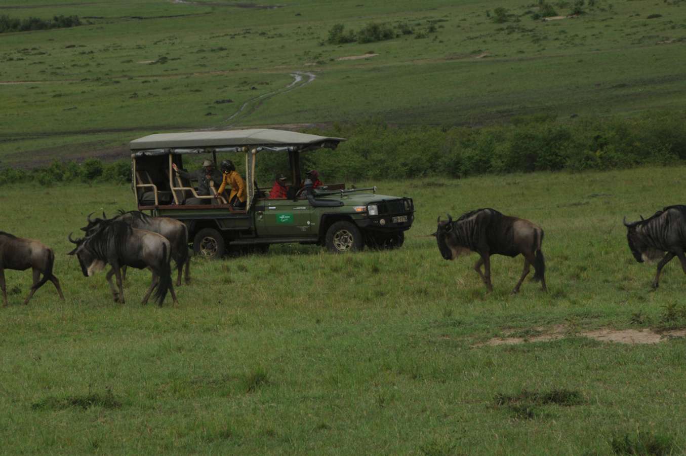castel mara camp 21021